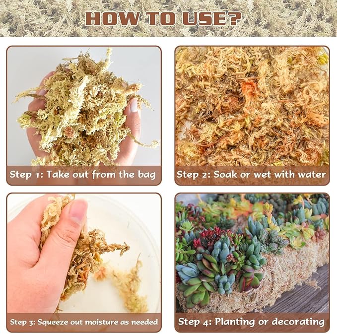 ZeeDix 4QT Natural Orchid Moss Sphagnum for Potting Mix, 3OZ Sphagnum Moss for Moss Pole Repotting Carnivorous Succulent Gardening Plants Reptiles, Dried Long Fibered Sphagnum Moss for Plants Indoor