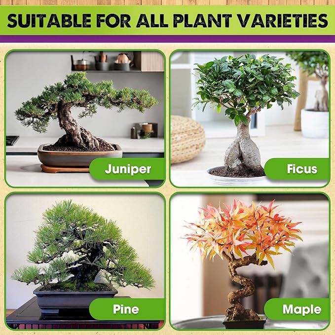 DUSPRO Recycle Premium Bonsai Soil Mix Ready to Use Pre-Mixed 5in1 with Akadama, Pumice, Vermiculite, and Peat Moss Professional Bonsai Potting Soil Mix 2 Qrt