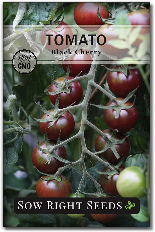 Sow Right Seeds - Black Cherry Tomato Seeds for Planting - Non-GMO Heirloom Packet with Instructions to Plant a Home Vegetable Garden - Tasty Snacking Variety, Start Indoors - Indeterminate (1)