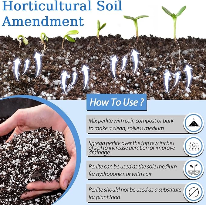 Riare 6 Quarts Organic Perlite for Plants - Horticultural Perlite Soil Amendment for Plants Potting Mix, Natural Chunky Perlite Soil Additive Conditioner Improve Root Growth, Drainage and Ventilation