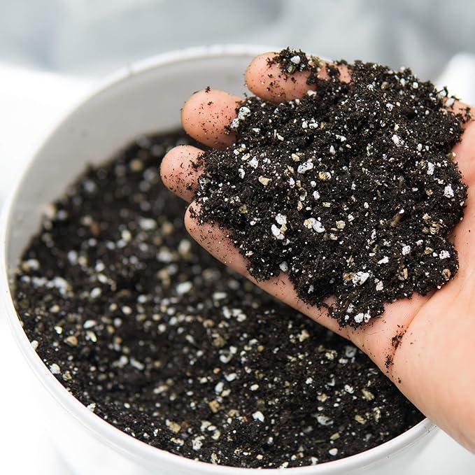 Bulk Horticultural Grade Perlite - Ten 8 Quart Bag ~2 Lbs Each - Grade 1, Fine Coarseness (~1/8 Inch Particles) - Soil Amendment Additive - for Growth, Aeration & Drainage for Potting Mix