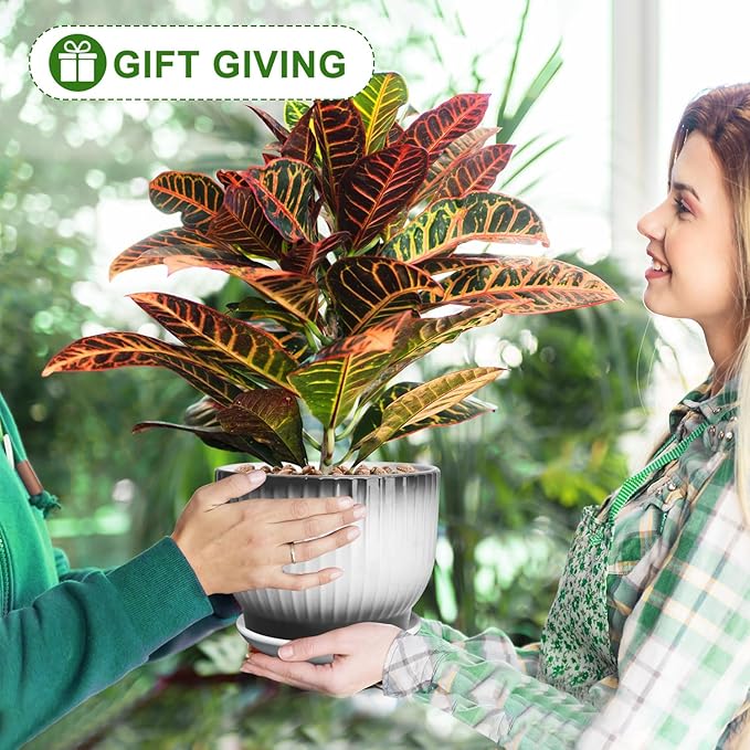 6.7 + 5.5 Inch Plant Pot, Ceramic Planter with Drainage and Saucer, Ceramic Pots for Plants, Indoor Plant pots,Ceramic Flower pots(Black + White, Plants NOT Included)