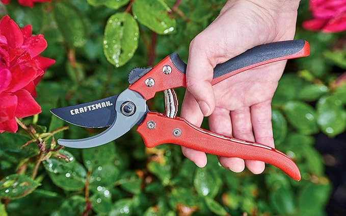 CRAFTSMAN 3-Piece Trimming & Sculpting Set with Bypass Pruning Shears, Garden Snips & Hedge Shears for Shaping, Trimming Delicate Plants, Shrubs & Trees