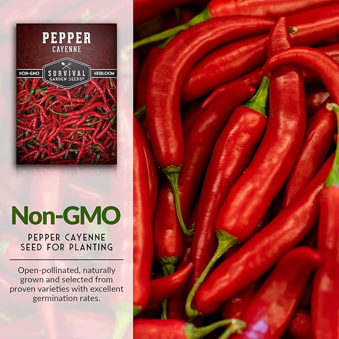 Survival Garden Seeds - Red Cayenne Pepper Seed for Planting - 5 Packets with Instructions to Plant and Grow Hot Chili Peppers in Your Home Vegetable Garden - Non-GMO Heirloom Variety