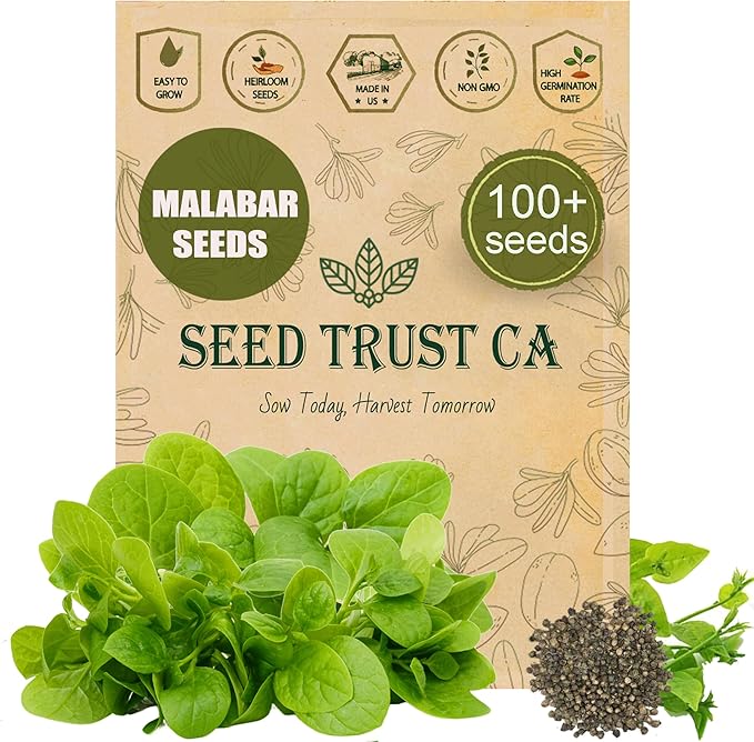 Malabar Spinach Seeds β 100+ Non-GMO, High-Yielding Malabar Variety Heirloom Seeds β High Germination Rate, Easy to Grow, Nutritious Tropical Leafy Green β USA (Malabar)