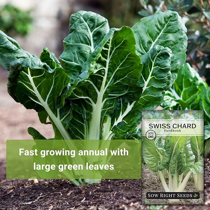 Sow Right Seeds - Fordhook Swiss Chard Seed for Planting - Non-GMO Heirloom Packet with Instructions to Plant and Grow an Outdoor Home Vegetable Garden - Nutritious, Flavorful - Great Gift (3)