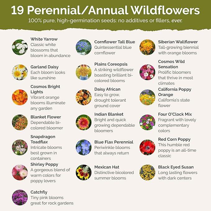 Eden Brothers Utah Wildflower Mixed Seeds for Planting, 1/4 lb, 120,000+ Seeds with Snapdragon, Yarrow | Attracts Pollinators, Plant in Spring or Fall, Zones