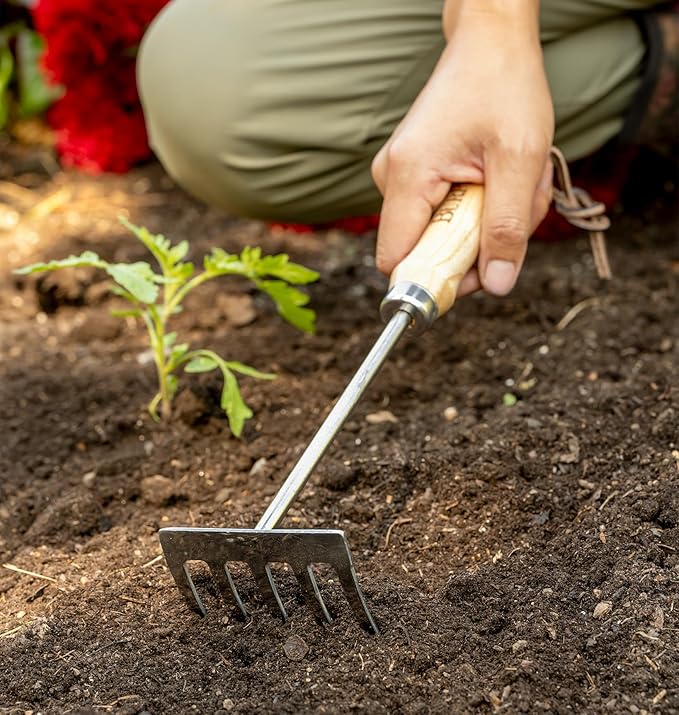 Burpee 11" Stainless Steel Tine Cultivator Durable Long Lasting Garden Tool Leather Wrist Strap Rake, 10 Year Warranty, Oak