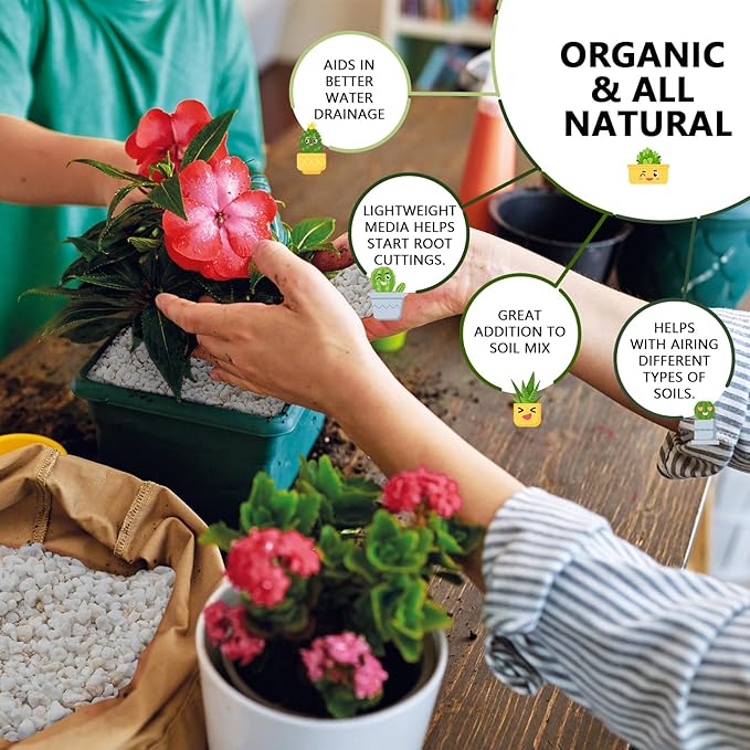 15QT Horticultural Perlite Bulk, Organic Perlite for Plants, Course Perlite for Gardening, for Plants Indoor, for Houseplants, to Promotes Soil Root Growth, and Water Drainage and Plant Growth(3-6mm)