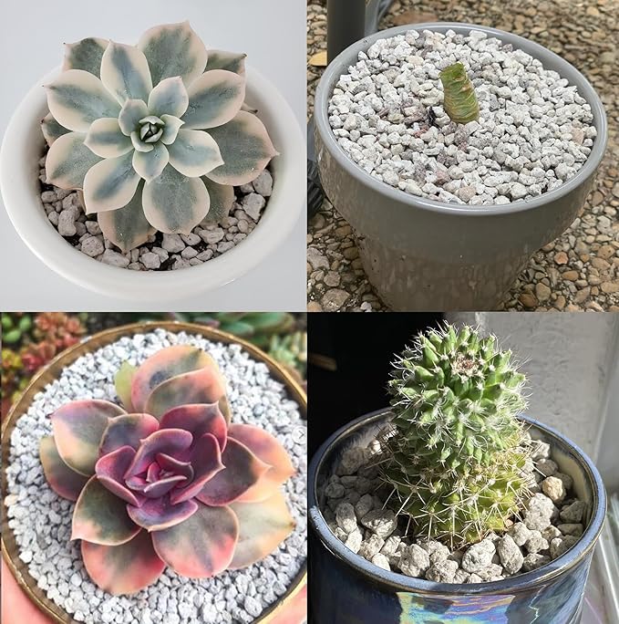 Voulosimi Garden Pumice Rock Horticultural Cactus Bonsai Succulent Soil Additive for Plants, Landscaping, Vase Fillers (1/2 inch, 18 LB)