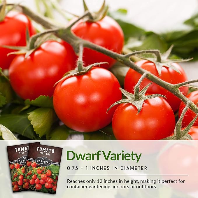 Survival Garden Seeds - Tiny Tim Tomato Seeds for Planting - 3 Packs with Instructions to Grow in Your Home Vegetable Garden - Non-GMO Heirloom Variety