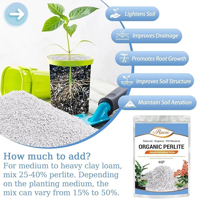 Riare 6 Quarts Organic Perlite for Plants - Horticultural Perlite Soil Amendment for Plants Potting Mix, Natural Chunky Perlite Soil Additive Conditioner Improve Root Growth, Drainage and Ventilation