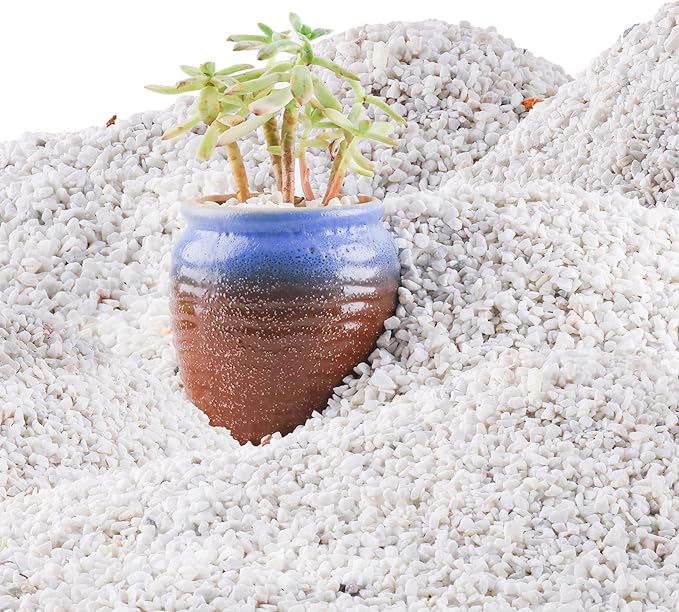 45LB 1/4in White Gravel for Succulent,Cactus Bonsai,DIY Terrarium, Fairy Gardening, Top Dressing,Aquarium