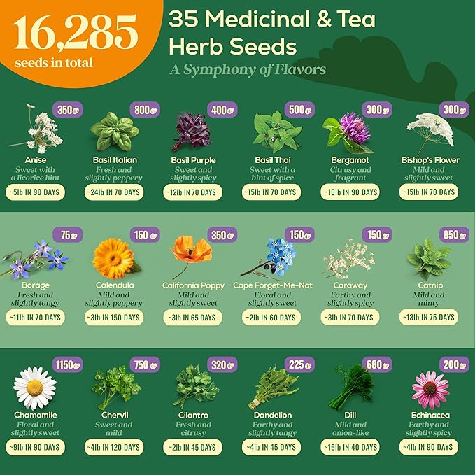 35 Medicinal & Tea Herb Seeds Variety Pack - 16,285+ Non-GMO Heirloom Herbs Seeds for Planting Indoor & Outdoor: Lavender, Rosemary, Echinacea, Mint, Catnip, Basil - Gardening Seed Packets
