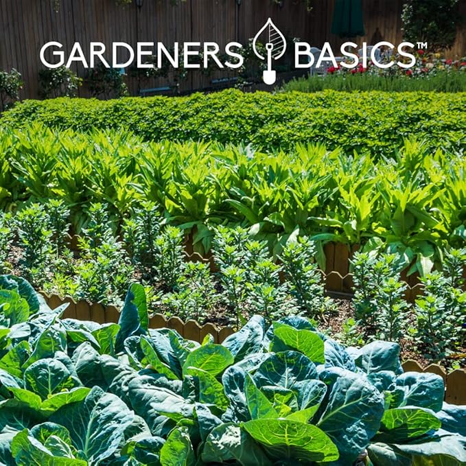 Gardeners Basics, Survival Garden Heirloom Seeds, Victory Garden Seeds - 35 Varieties, 17,000+ Vegetable and Fruit Seeds for Planting Great Emergency Preparedness Items and Bugout Bag Supplies Gear