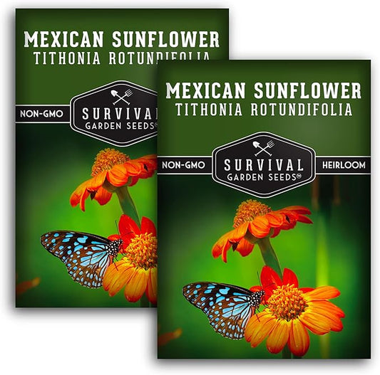 Survival Garden Seeds - Mexican Sunflower Seed for Planting - 2 Packs with Instructions to Plant and Grow Tithonia Rotundifolia in Your Home Vegetable or Flower Garden - Non-GMO Heirloom Variety