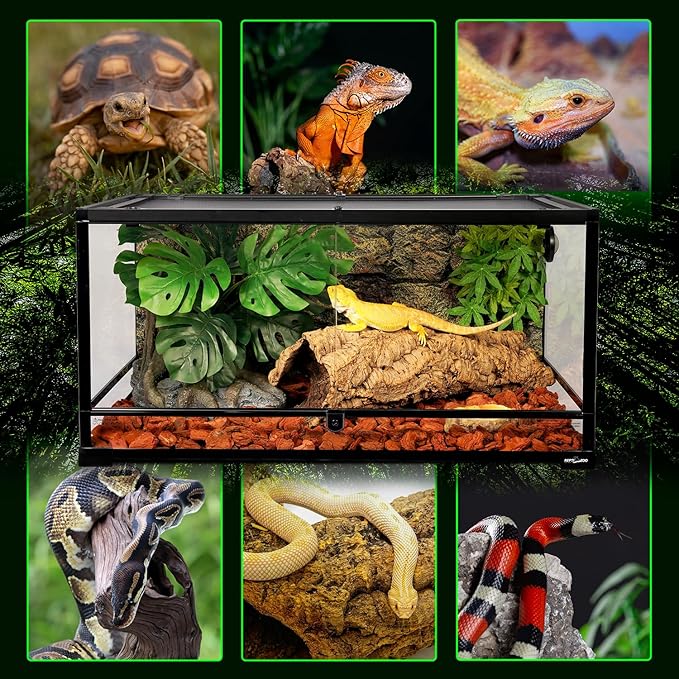 REPTI ZOO 36" x 24" x 18" Glass Reptile Terrarium, Front Opening Reptile Habit Tank with Double Hing Doors, Knock-Down Terrarium with Top Screen Ventilation 68 Gallon