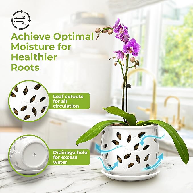 Orchid Pot with Holes & Saucer Ceramic 5.25 in. Indoor or Outdoor Large Pot for Orchid Care & Root Health with Precise Aeration & Drainage – Durable for Repotting or New Plants