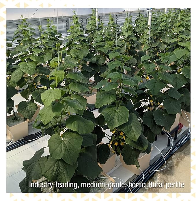 Perlite+ Silica, Superior Soil Amendment That Promotes Enhanced Plant Growth. Ideal for Potting Soil, Transplanting, and Hydroponic Systems, OMRI Listed, 100% Organic (24 QT)