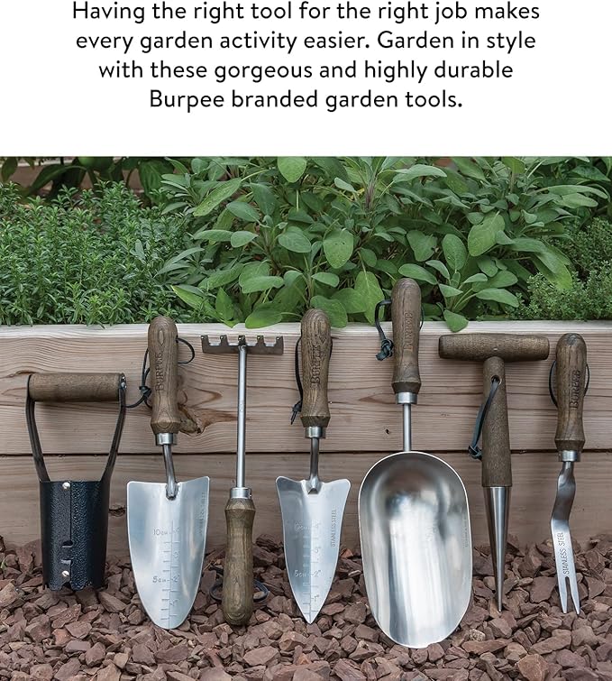 Burpee Complete 7-Piece Set of Stainless Steel Garden Bulb Planter, Rake, Dibbler, Soil Scoop, Transplanter, Weeder, Trowel | Hand Tools with Leather Strap for Storage