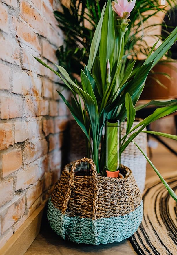 B SEPOR Ceramic Plant Waterer Set of 6 Pack Terracotta Self Watering Spikes,Wine Bottle Plant Watering Devices for Vacation (6Pack)