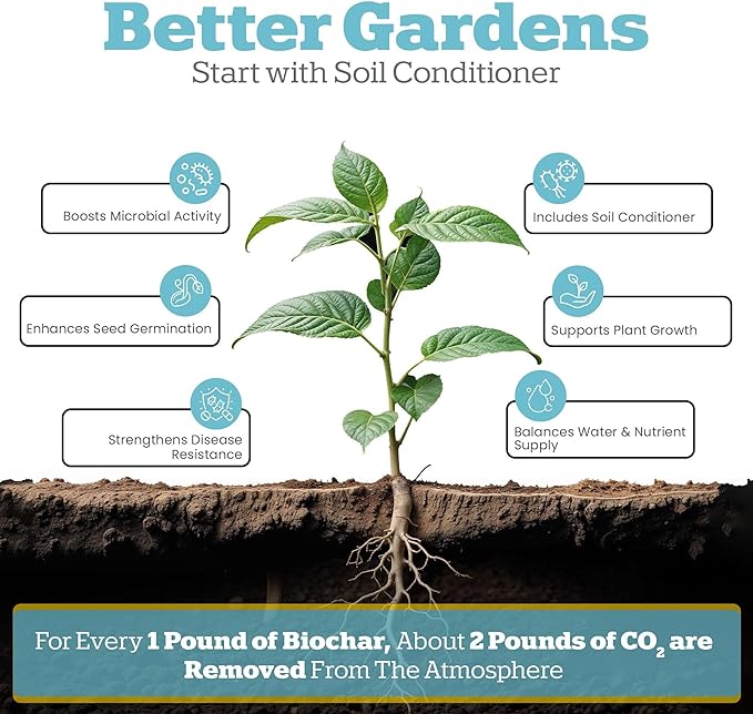 Wakefield Premium Biochar Soil Conditioner – 100% Pure Organic Biochar Soil to Boost Nutrient Retention & Water Efficiency for Houseplants, Gardens, & Lawns – 2 Quarts
