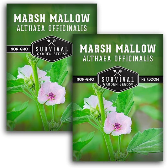 Marsh Mallow Seed for Planting - 2 Packets with Instructions to Plant and Grow Rare Medicinal Flowering Herbs in Your Home Vegetable Garden - Non-GMO Heirloom Variety - Survival Garden Seeds