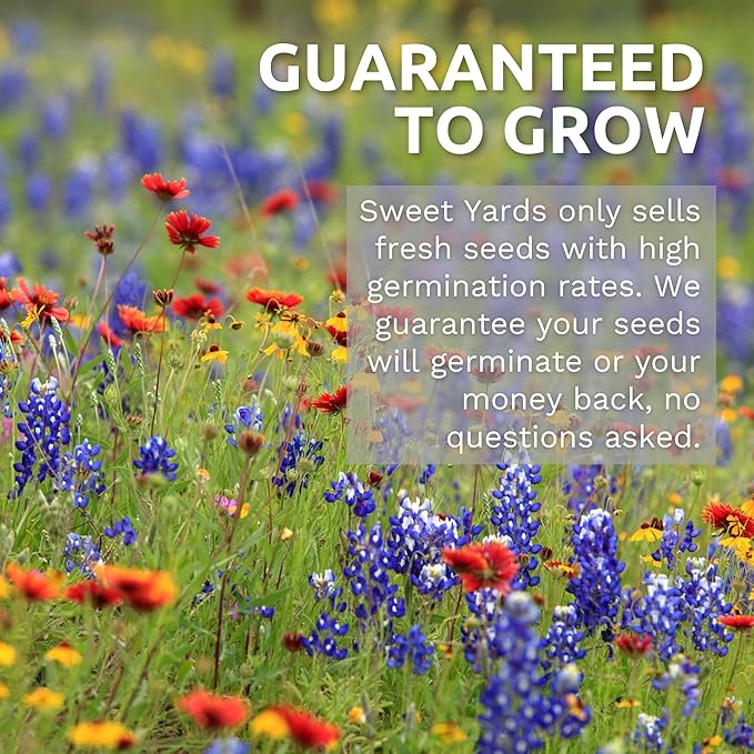 Zinnia Green Envy - Bulk 1/4 Pound Pouch - 15,000 Flower Seeds for Planting - Zinnia elegans