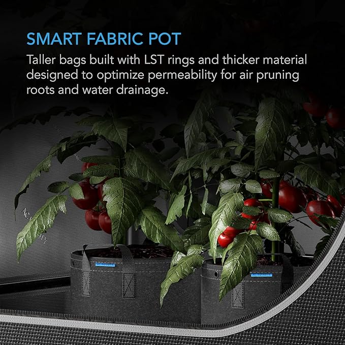 AC Infinity Heavy Duty Fabric Pots, 10 Gallon Aeration Reusable Grow Bags 5-Pack with 500G Thick Nonwoven Fabric and Multi-Purpose Rings, for Low Stress Plant Training Fruits, Vegetables, and Flowers