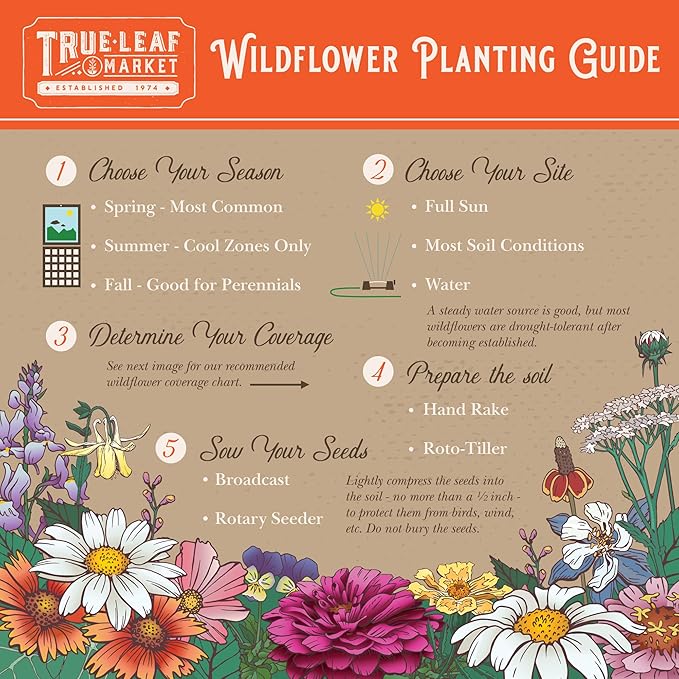 Wildflower Seeds Bulk, 2 Oz. 80,000+Seeds, Save the Bees Wild Flowers Seeds Mix-19 Non-GMO Varieties of Wildflower Seeds for Bees-Bee Friendly Wildflower Seeds-Pollinator Wildflower Seeds for Planting