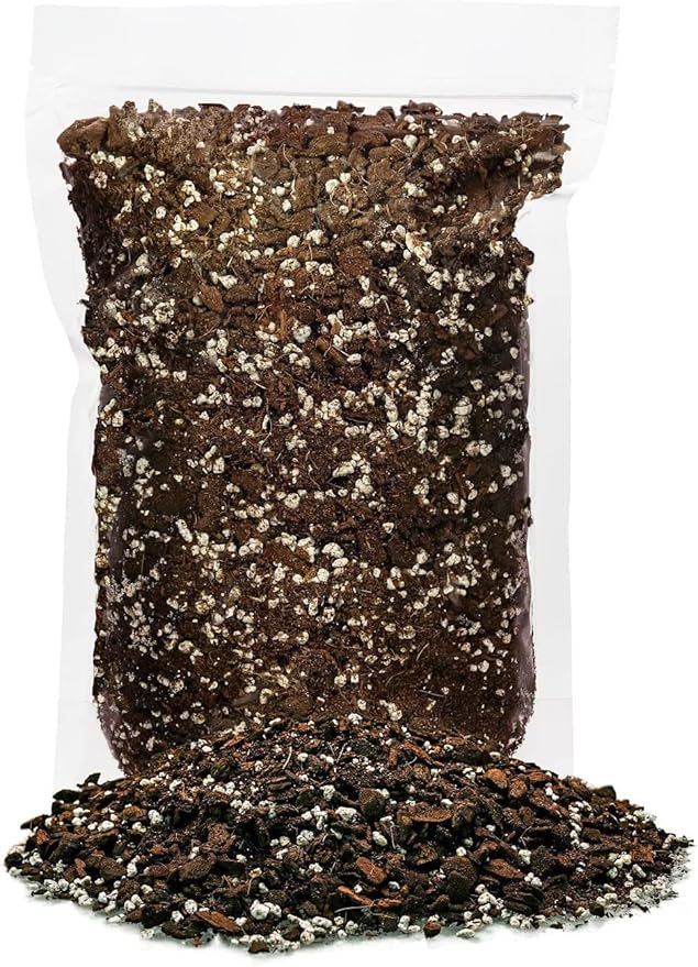 Organic Five Holes Monstera Soil Mix - Expertly Formulated for Strong and Healthy Roots - 2 Quart