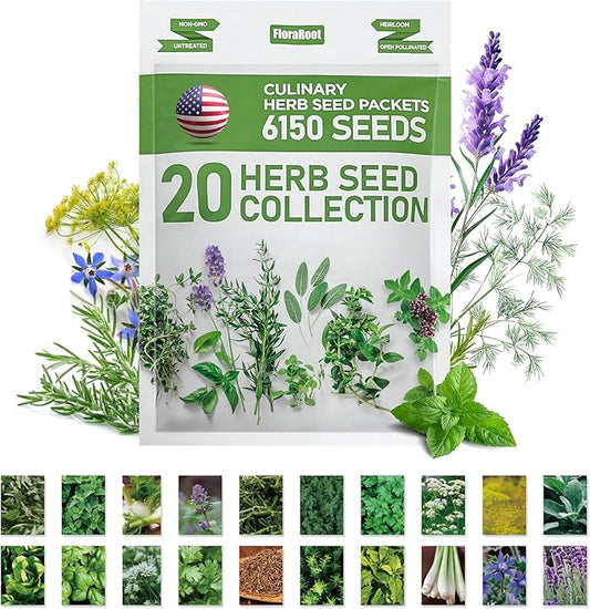 20 Culinary Herb Seeds Variety Pack, Non-GMO, Heirloom Collection with 6150+ Seeds for Indoor Hydroponic or Outdoor Garden Gift for Gardeners, New Home Housewarming Kitchen Live Plant Starter