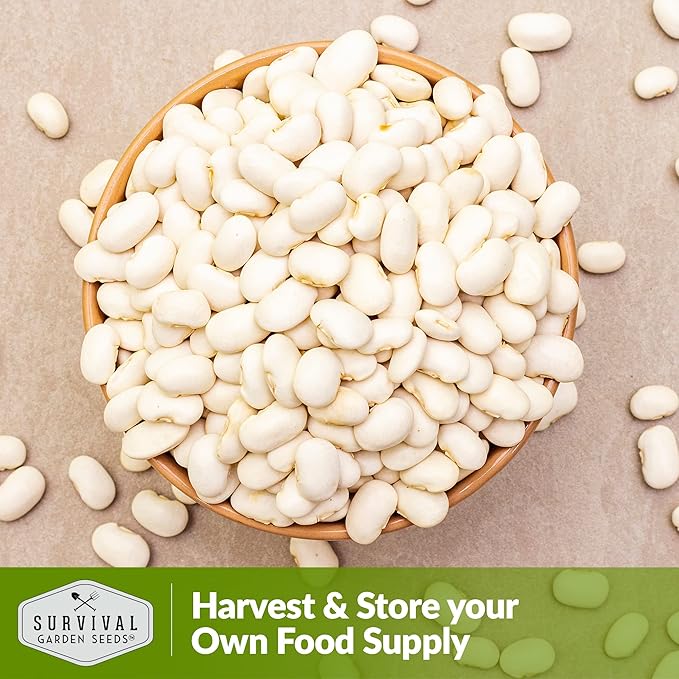 Survival Garden Seeds - Henderson Lima Bean Seed for Planting - 3 Packs with Instructions to Plant and Grow Tender White Butter Beans in Your Home Vegetable Garden - Non-GMO Heirloom Variety