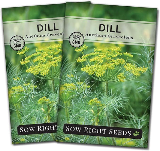 Sow Right Seeds - Dill Seed for Planting - Non-GMO Heirloom Packet with Instructions to Plant and Grow Herb Garden - Indoors or Outdoors - Homemade Dill Pickles - Wonderful Companion Plant (2)