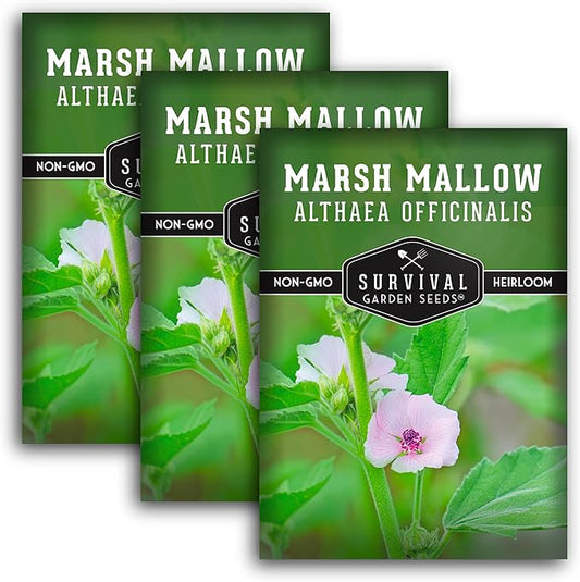 Marsh Mallow Seed for Planting - 3 Packets with Instructions to Plant and Grow Rare Medicinal Flowering Herbs in Your Home Vegetable Garden - Non-GMO Heirloom Variety - Survival Garden Seeds