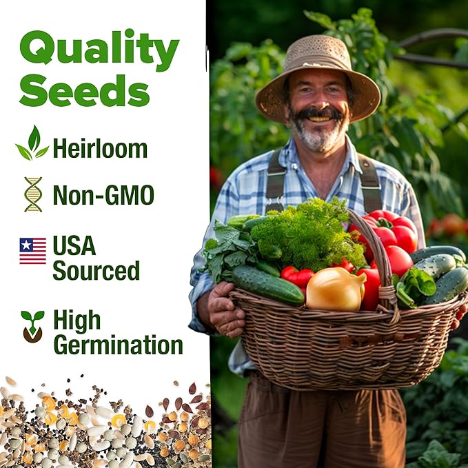 HOME GROWN 12 Winter Vegetable Seeds - Heirloom, Non-GMO Fall & Winter Vegetable Seeds for Planting Home Garden: Bean, Beet, Broccoli, Cabbage, Carrot, Cauliflower, Kale, Parsnip, Squash, Chard & More