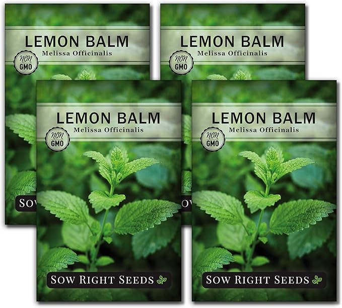 Sow Right Seeds - Lemon Balm Seeds for Planting - Non-GMO Heirloom Packet With Instructions - Easy to Grow Herb Garden - Aromatic Medicinal Herb and Great for Herbal Teas - Perennial Mint Relative (4)
