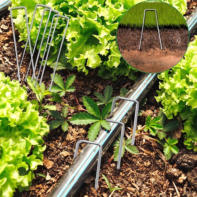 200 Pack Landscape Staples,6 Inch Garden Stakes,11 Gauge Galvanized Steel Garden Staples,Heavy Duty Yard Stakes,Fence Stakes for Securing Irrigation Tubing,Weed Barrier Fabric,Ground Cover