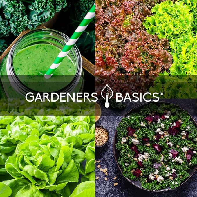 Gardeners Basics, Hydroponic Seeds for Planting Planting Indoors and Outdoor 5 Variety Pack - Tatsoi, Kale, Buttercrunch, Romaine and Loose Leaf Lettuce Seeds