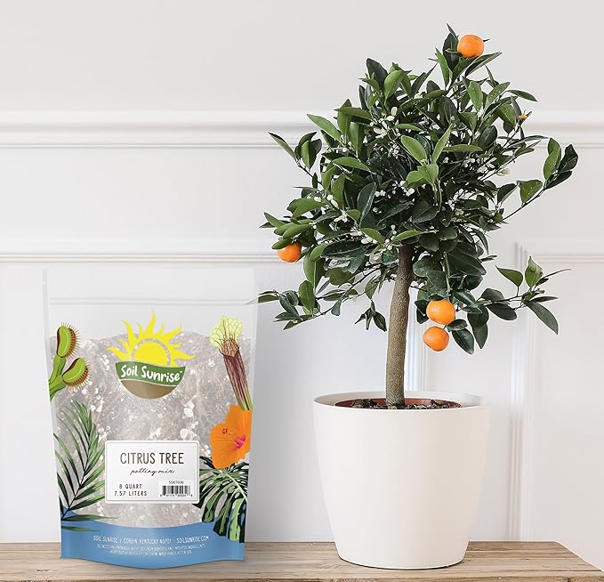 Citrus Tree Potting Soil Mix (8 Quarts), Special Blend for Indoor Oranges, Lemons, Limes and More
