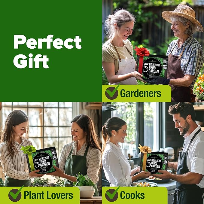 Home Grown Indoor Herb Garden Starter Kit - Christmas Gift for Gardeners - Complete 5 Herb Plant Grow Kit - Unique Gift for Mom, Women, Her, Men