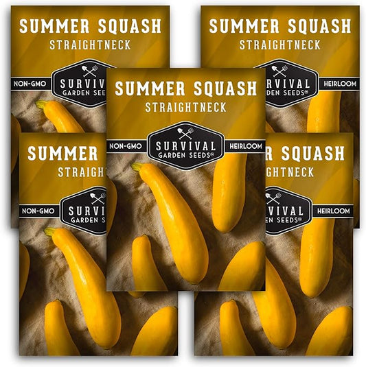 Survival Garden Seeds - Straightneck Summer Squash Seed for Planting - 5 Packs with Instructions to Plant and Grow Yellow Squash in Your Home Vegetable Garden - Non-GMO Heirloom Variety