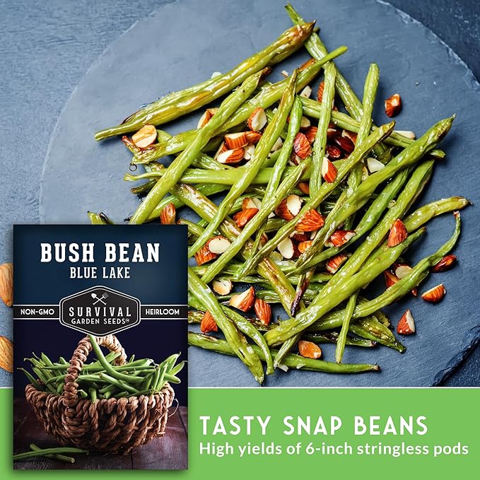 Survival Garden Seeds - Blue Lake Bush Bean Seed for Planting - 3 Packets with Instructions to Plant & Grow Green Stringless Snap Beans in Your Home Vegetable Garden - Non-GMO Heirloom Variety