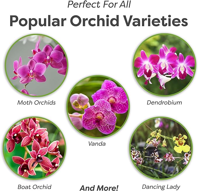 All Natural Orchid Potting Mix by Perfect Plants - 1 Quart Special Blend for Proper Root Development on All Orchid Plant Types