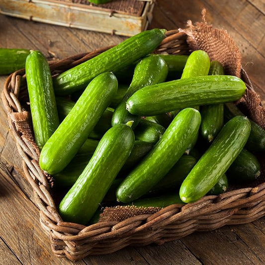 Straight Eight Cucumber Seed for Planting - Over 90 Heirloom Seed Pack - Non-GMO Pickling Cucumber Seeds for Planting Indoors or Outdoors