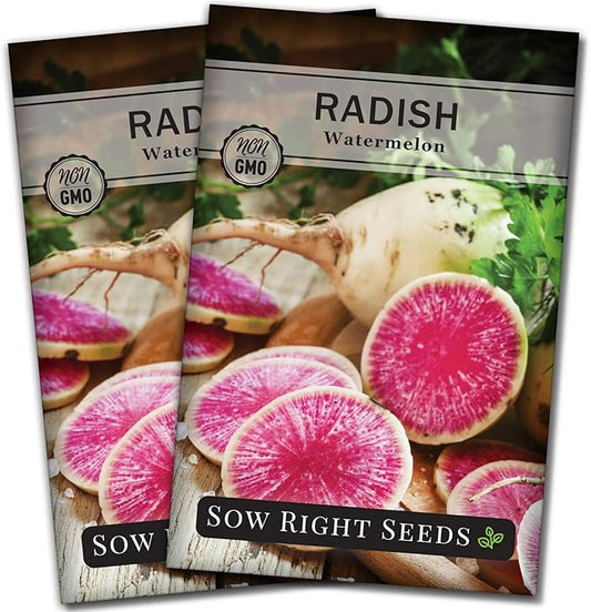 Sow Right Seeds - Watermelon Radish Seed for Planting - Non-GMO Heirloom Packet with Instructions to Plant a Home Vegetable Garden - Unique & Rare Veggie, Watermelon-Like Coloring When Cut (2)