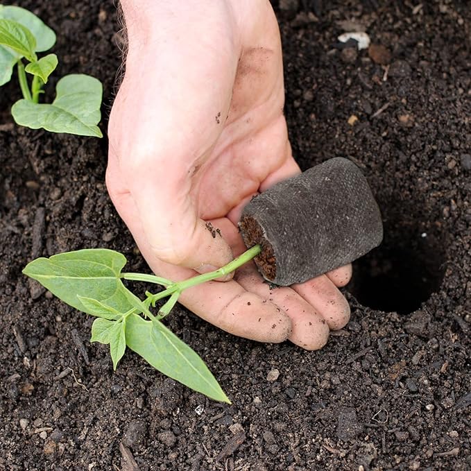 ZeeDix 500 Pcs (30mm) Peat Pellet Fiber Soil Plant Seed Starters - Seed Starter Pellets Pods Compressed Peat Pellets for Grow Herbs, Plant, Flowers and Vegetables