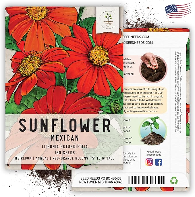 Seed Needs, Mexican Sunflower Seeds - 100 Heirloom Seeds for Planting Tithonia rotundifolia - Annual Wildflower That Attracts Pollinators/Butterflies (2 Packs)