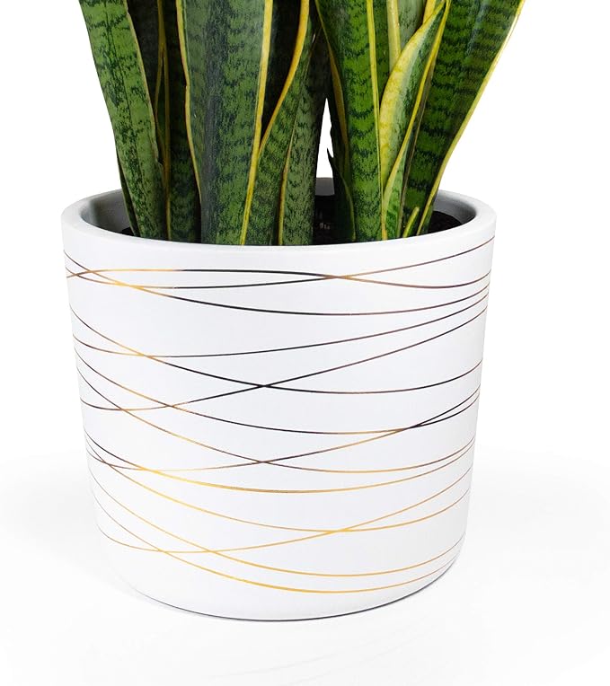 Willowy 12 Inch Ceramic Pot - Matte White with Metallic Gold Stripes - Drainage Plug Included