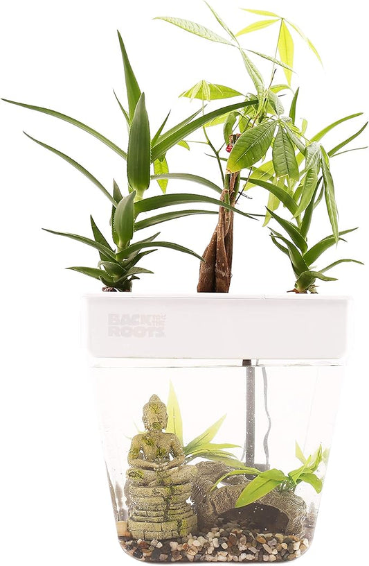 Back to the Roots Indoor Hydroponic Garden - 3 Gallon Self Watering, Mess-Free Planter for Herbs, Microgreens, Bamboo, Succulents, and Houseplants, Green